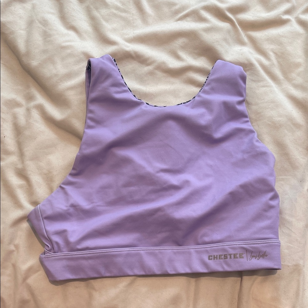 The Chestee Purple Sports Bra